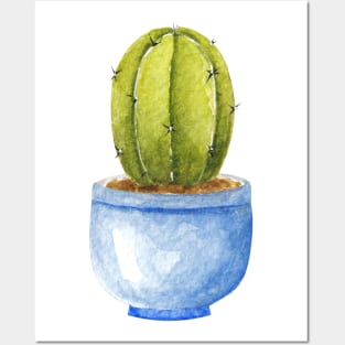 Cactus Posters and Art